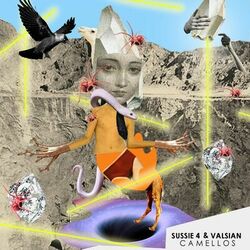 Cover of Camellos