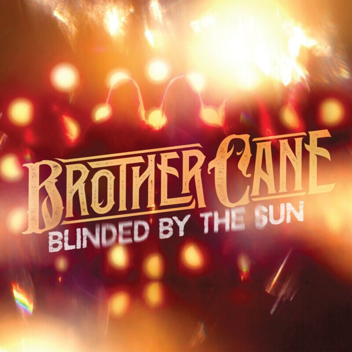 Album cover of Blinded By The Sun