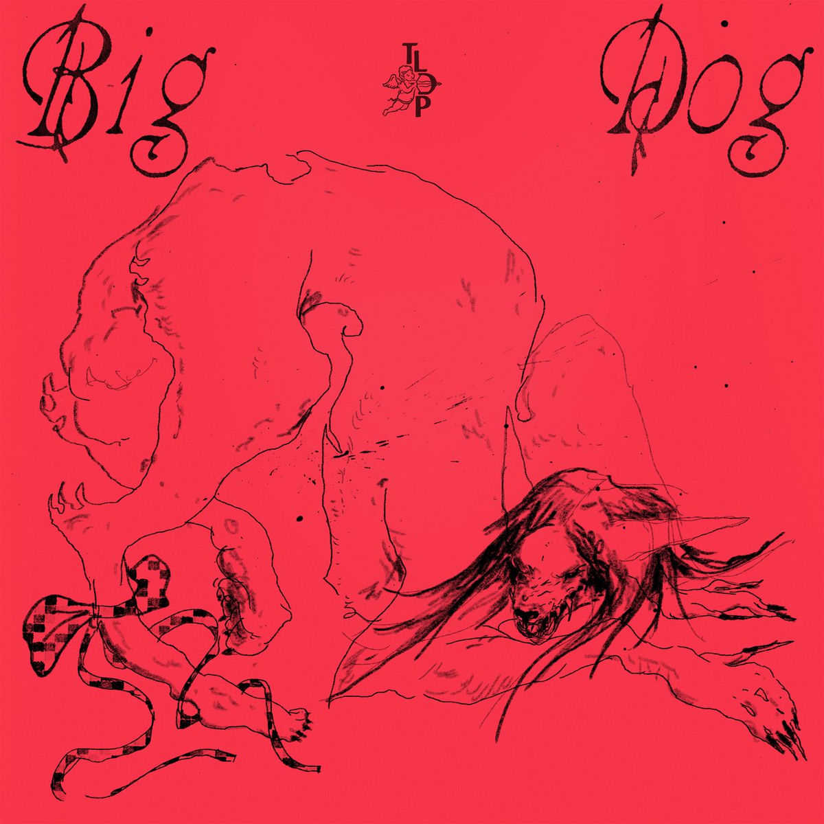 Album cover of Big Dog