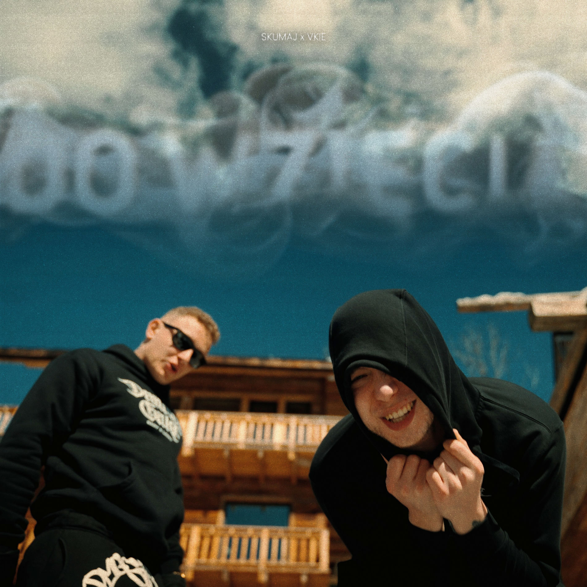 Album cover of Do wzięcia