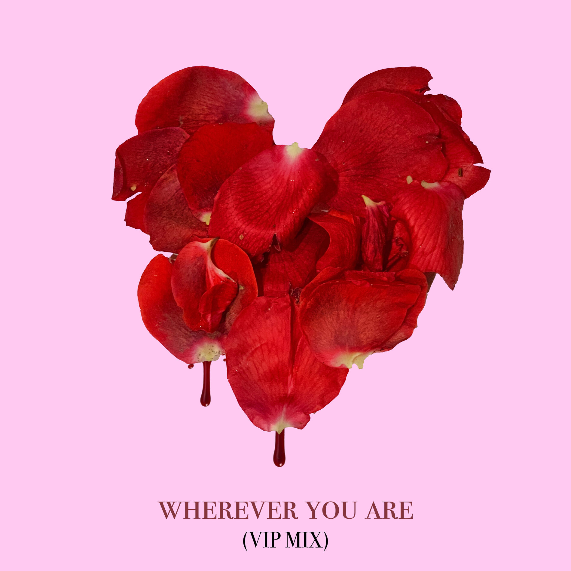 Album cover of wherever you are (adam&steve VIP Remix)