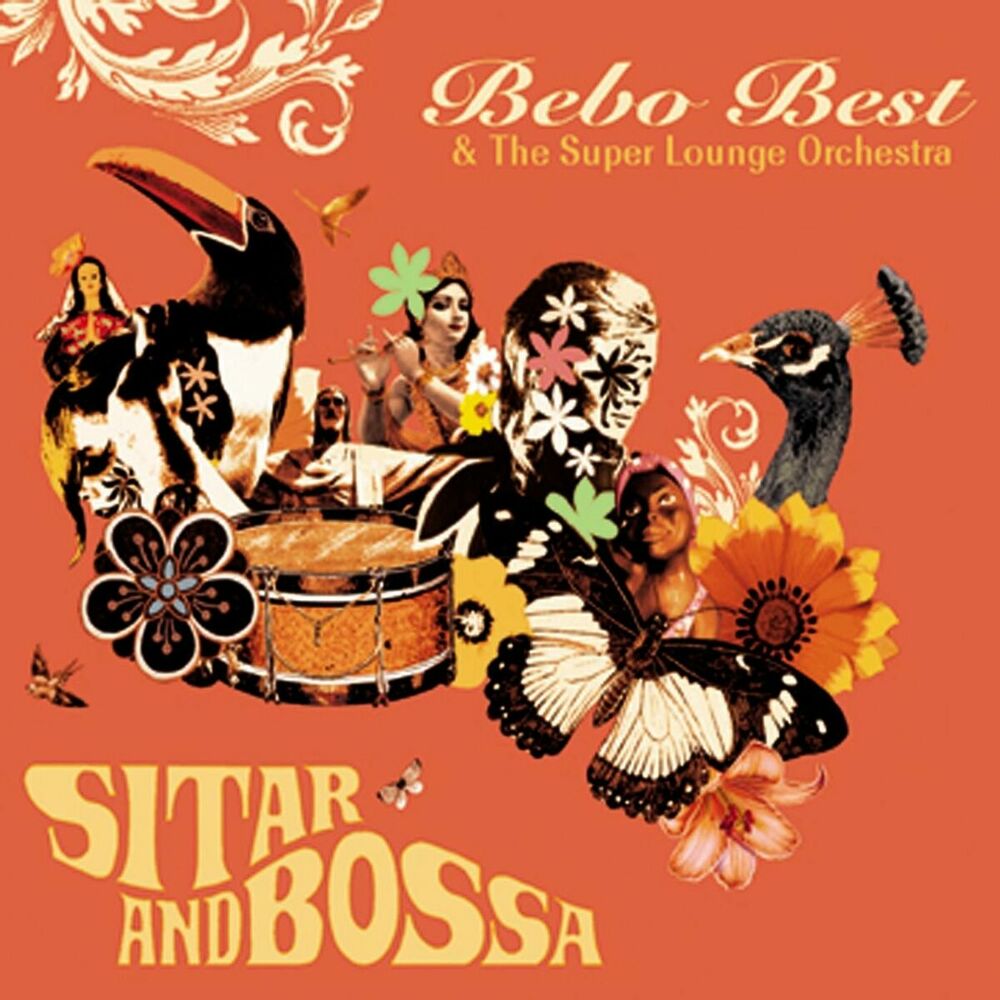 Picture of Sitar and Bossa