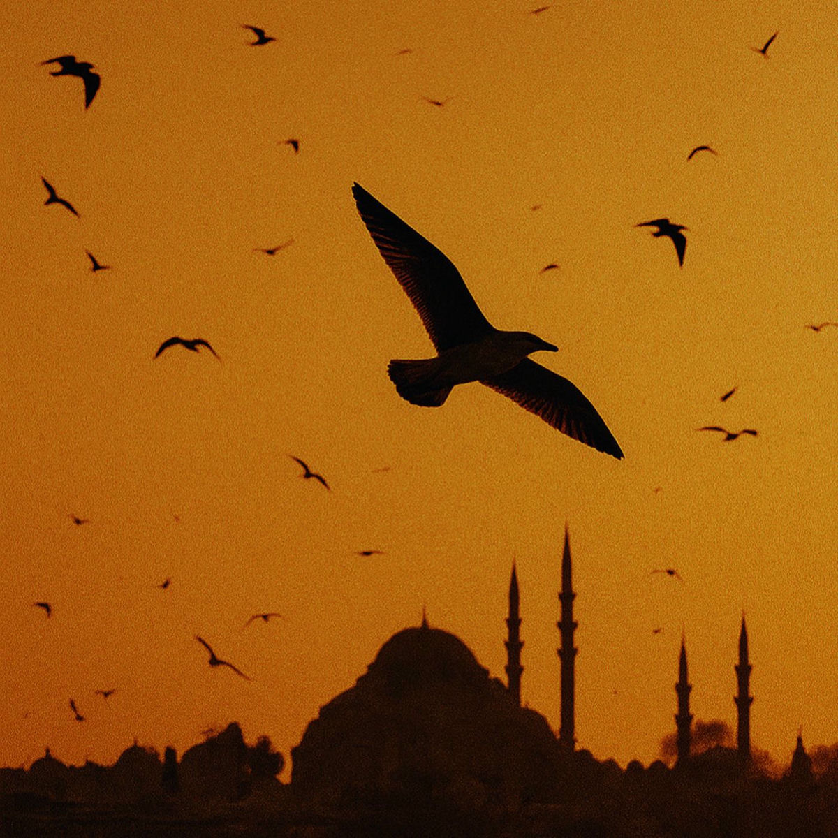 Album cover of Uçurum