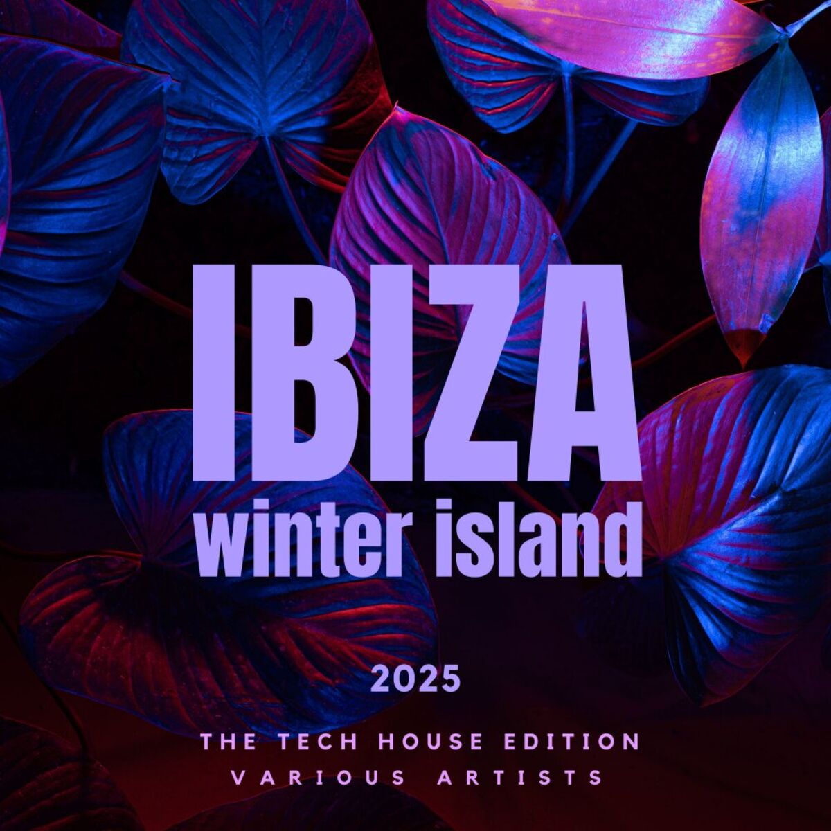 Album cover of Ibiza Winter Island 2025 (The Tech House Edition)
