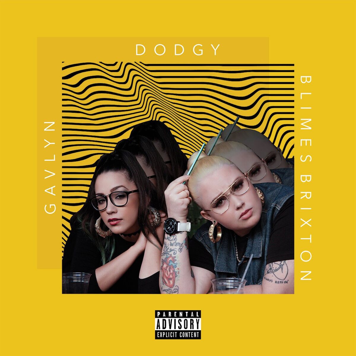 Album cover of Dodgy