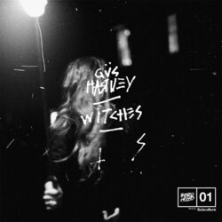 Cover of Witches
