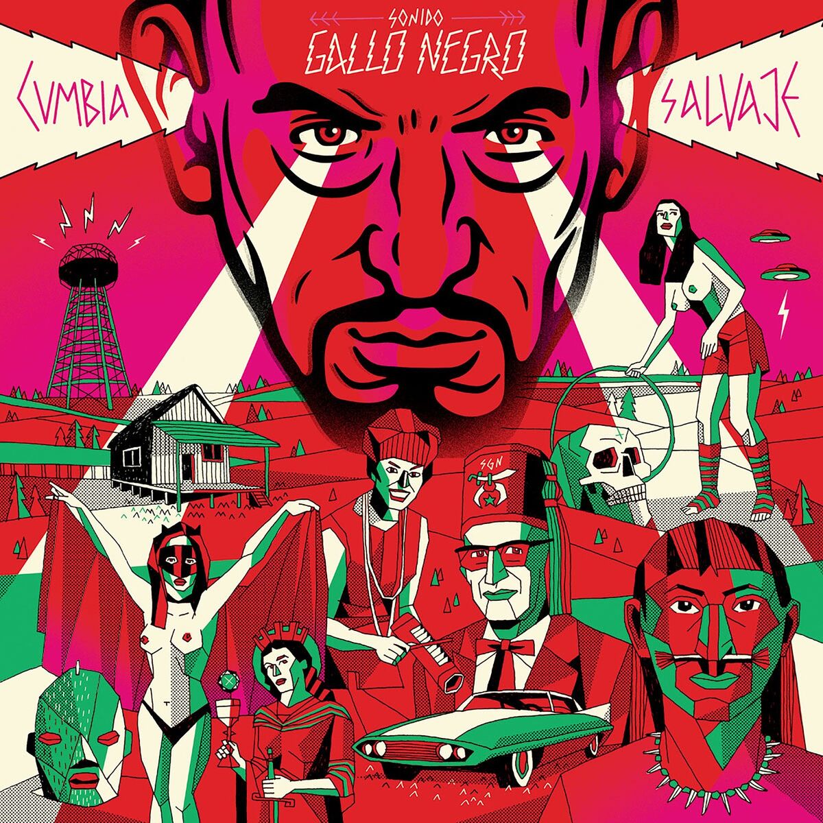 Album cover of Cumbia Salvaje