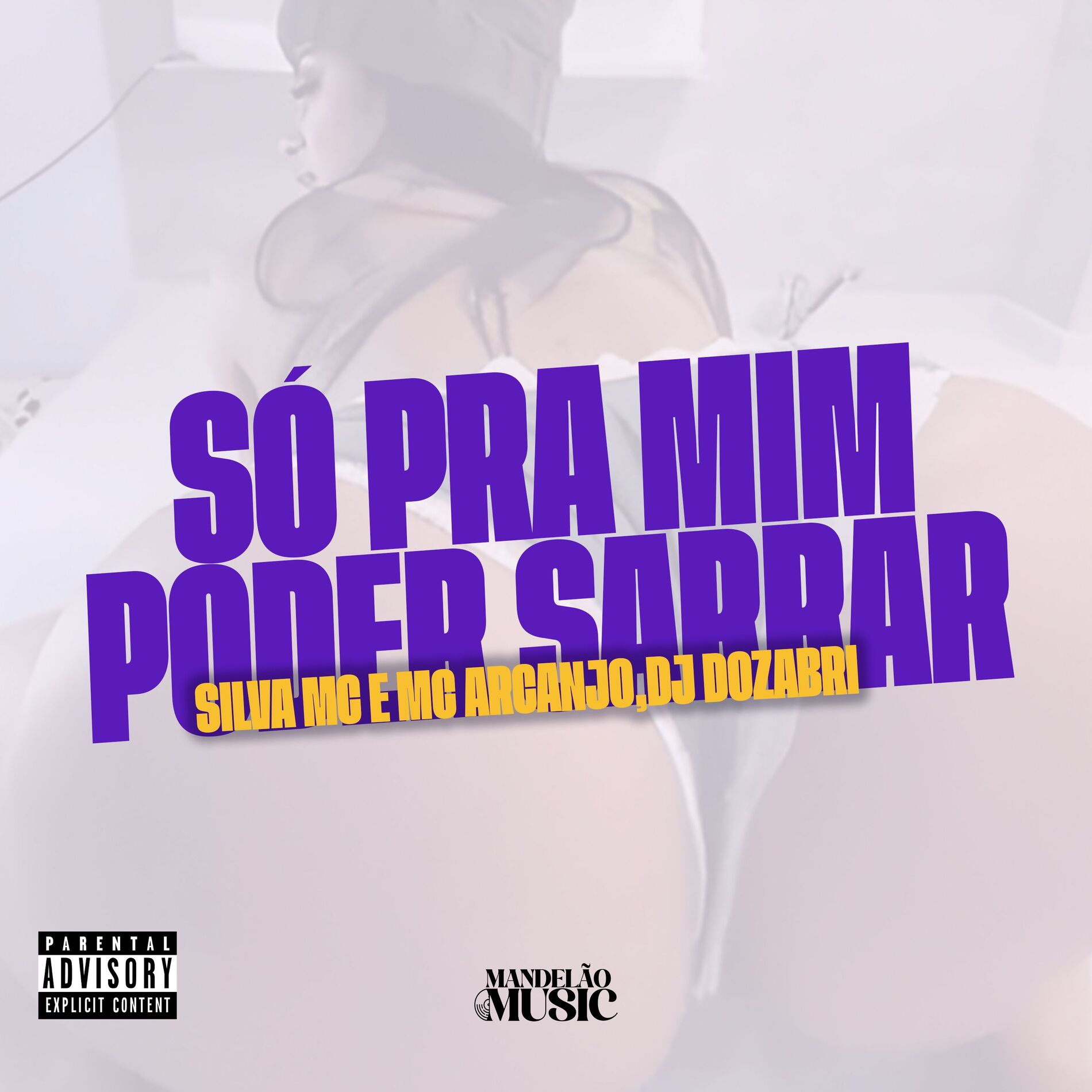 Album cover of Só pra Mim Poder Sarrar