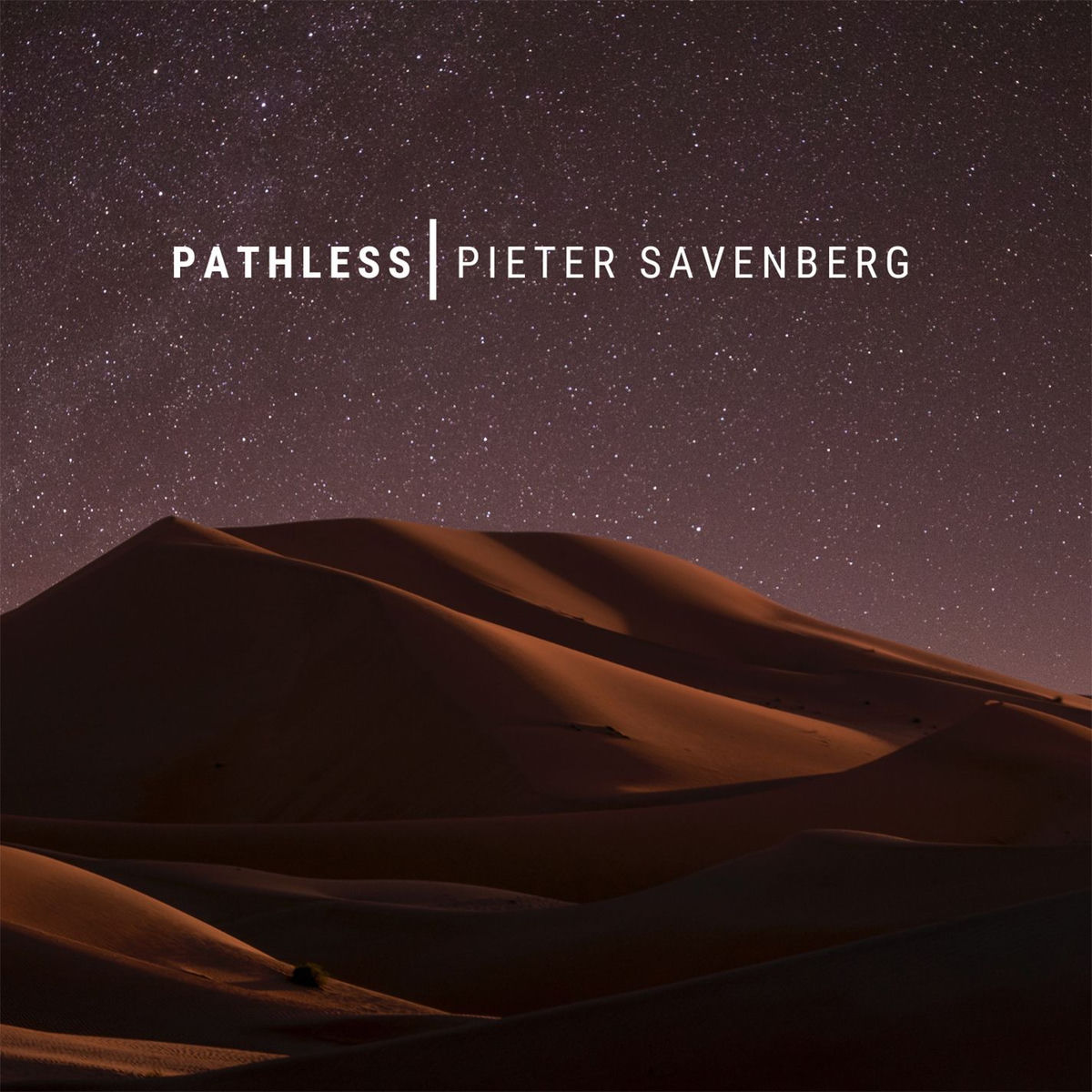 Album cover of Pathless