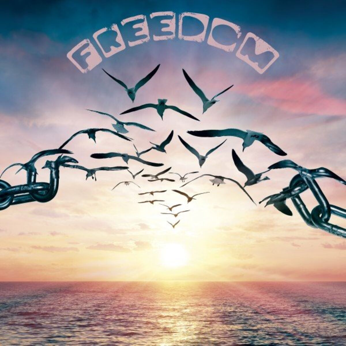 Album cover of Freedom