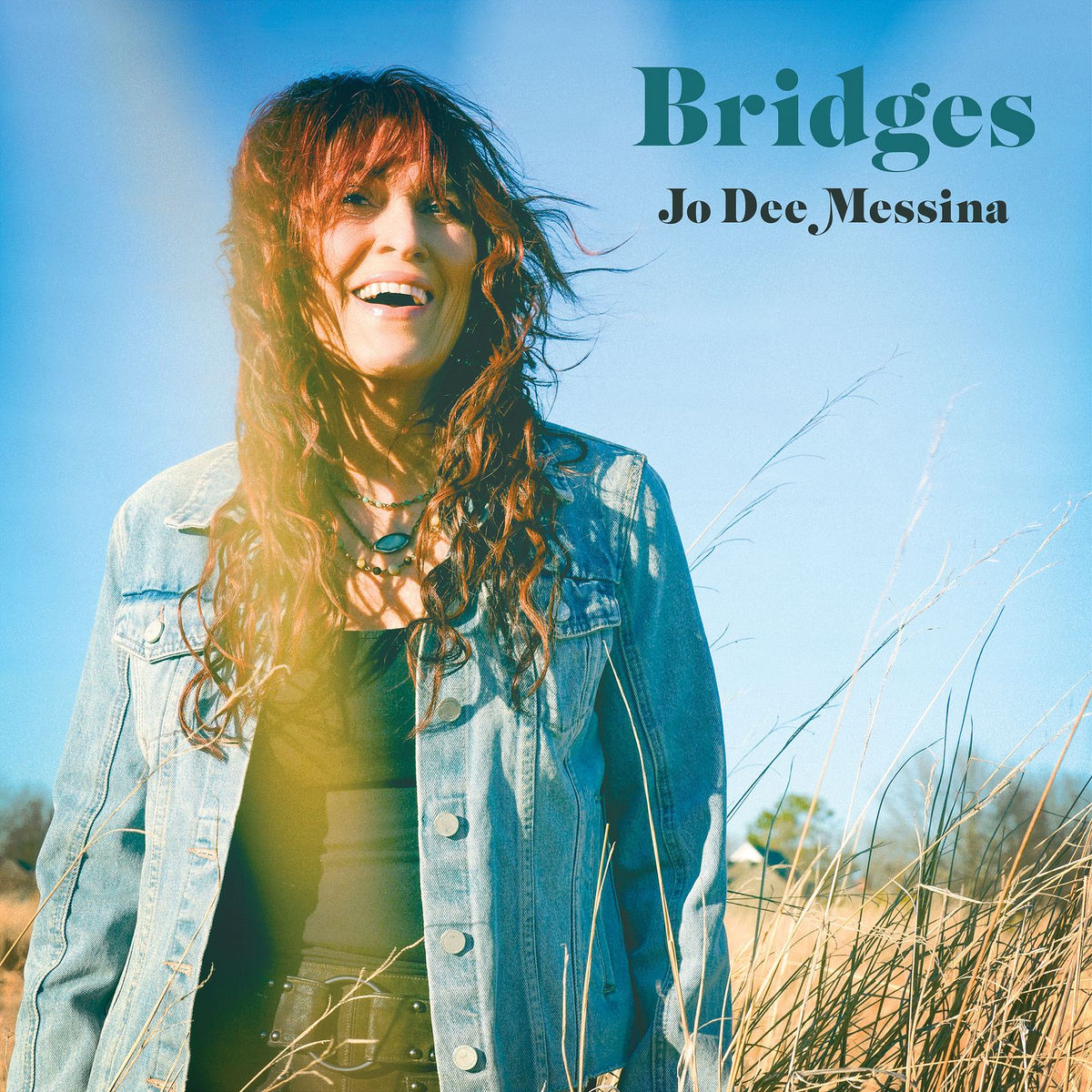 Album cover of Bridges