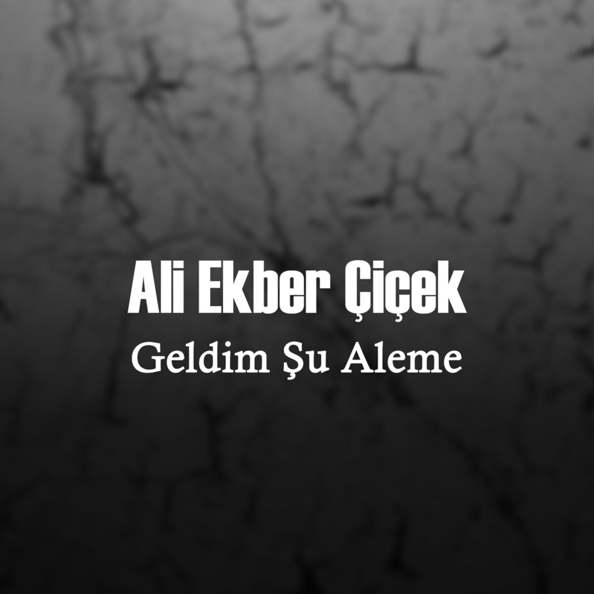 Album cover of Geldim Şu Aleme