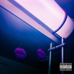 Cover of The Night Is Young II