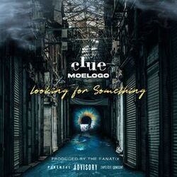 Cover of Looking For Something