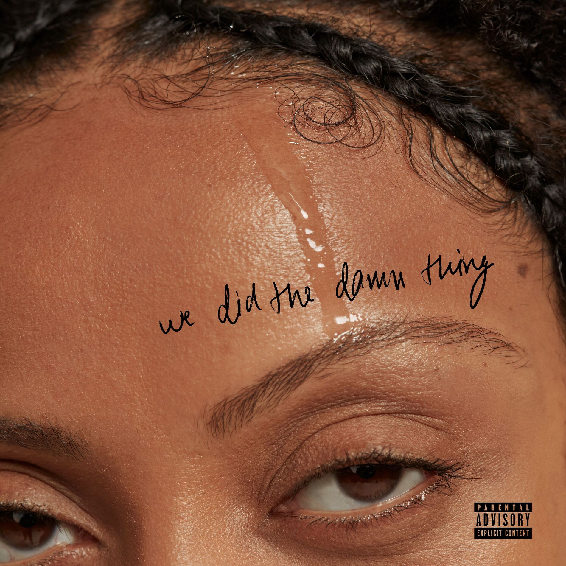 Album cover of We Did The Damn Thing