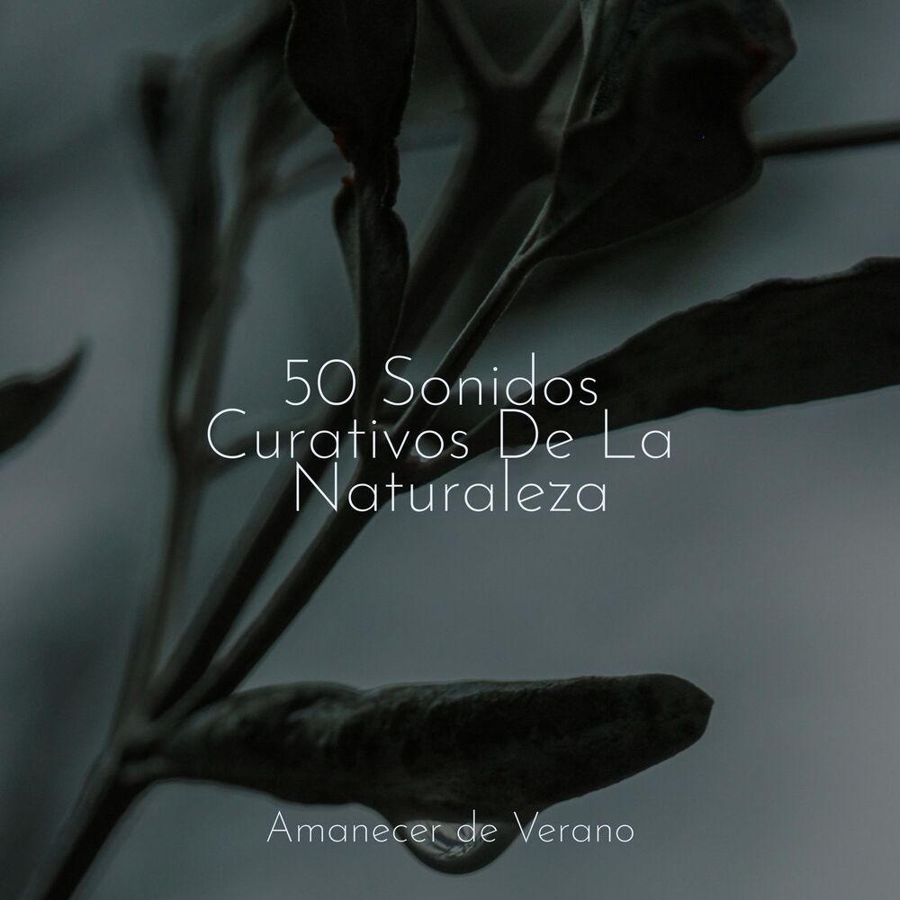Picture of 50 Sonidos Curativos De La Naturaleza