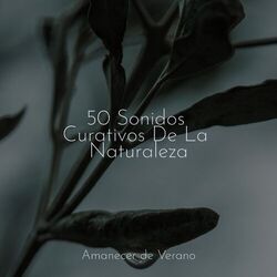 Cover of 50 Sonidos Curativos De La Naturaleza