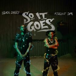 Cover of So it Goes