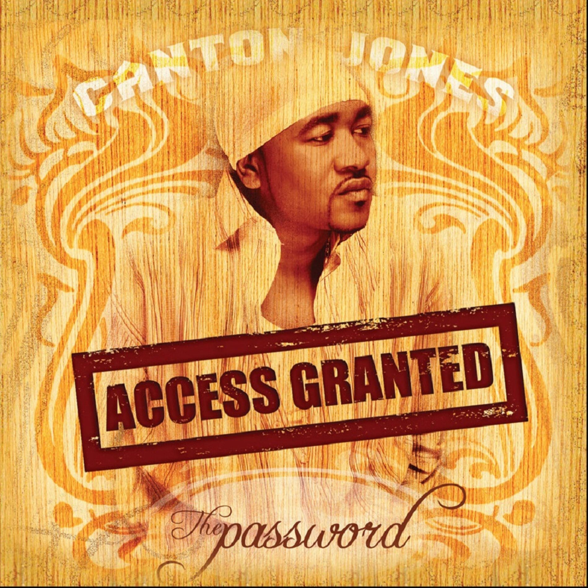 Album cover of The Password: Access Granted