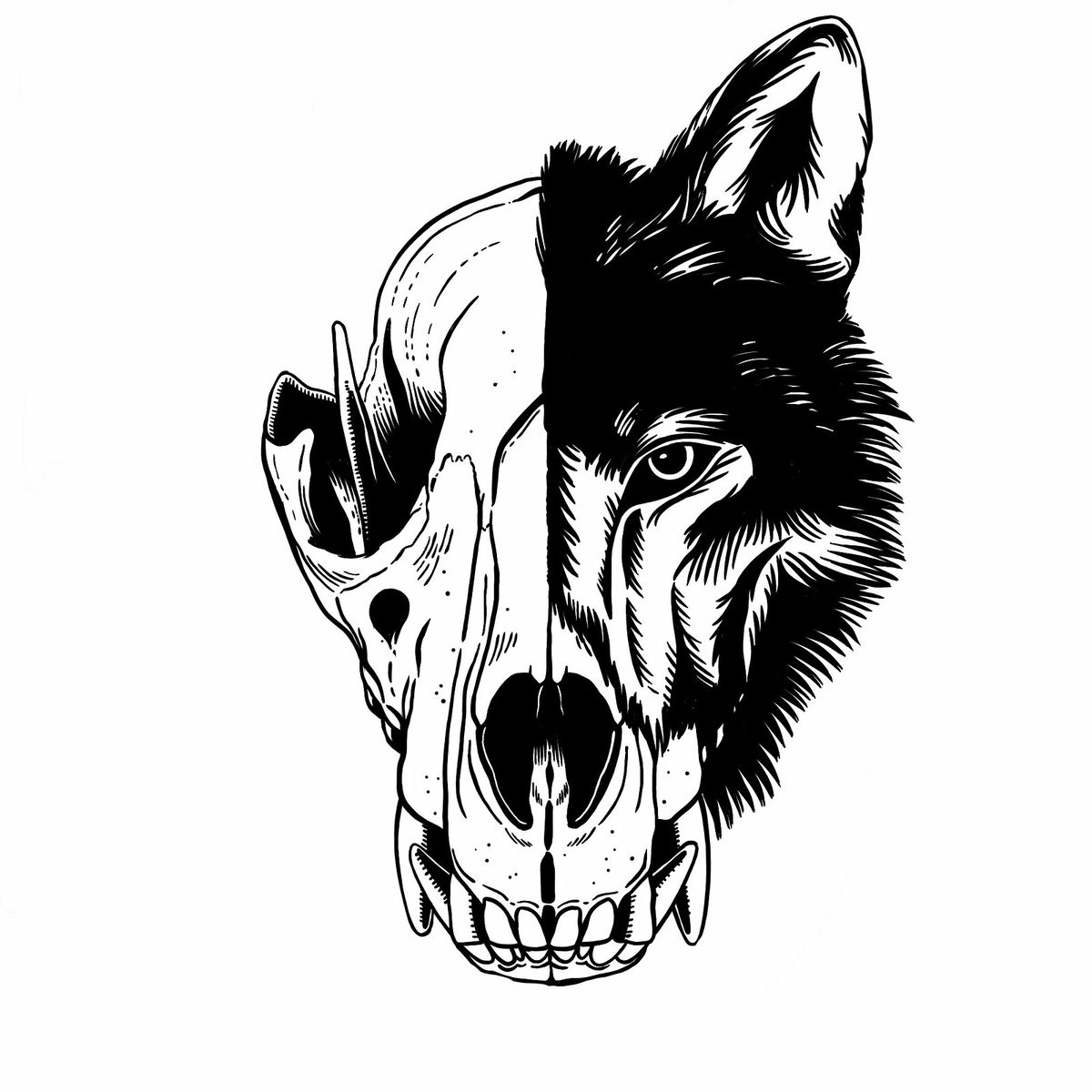 Album cover of Call out (Acoustic)