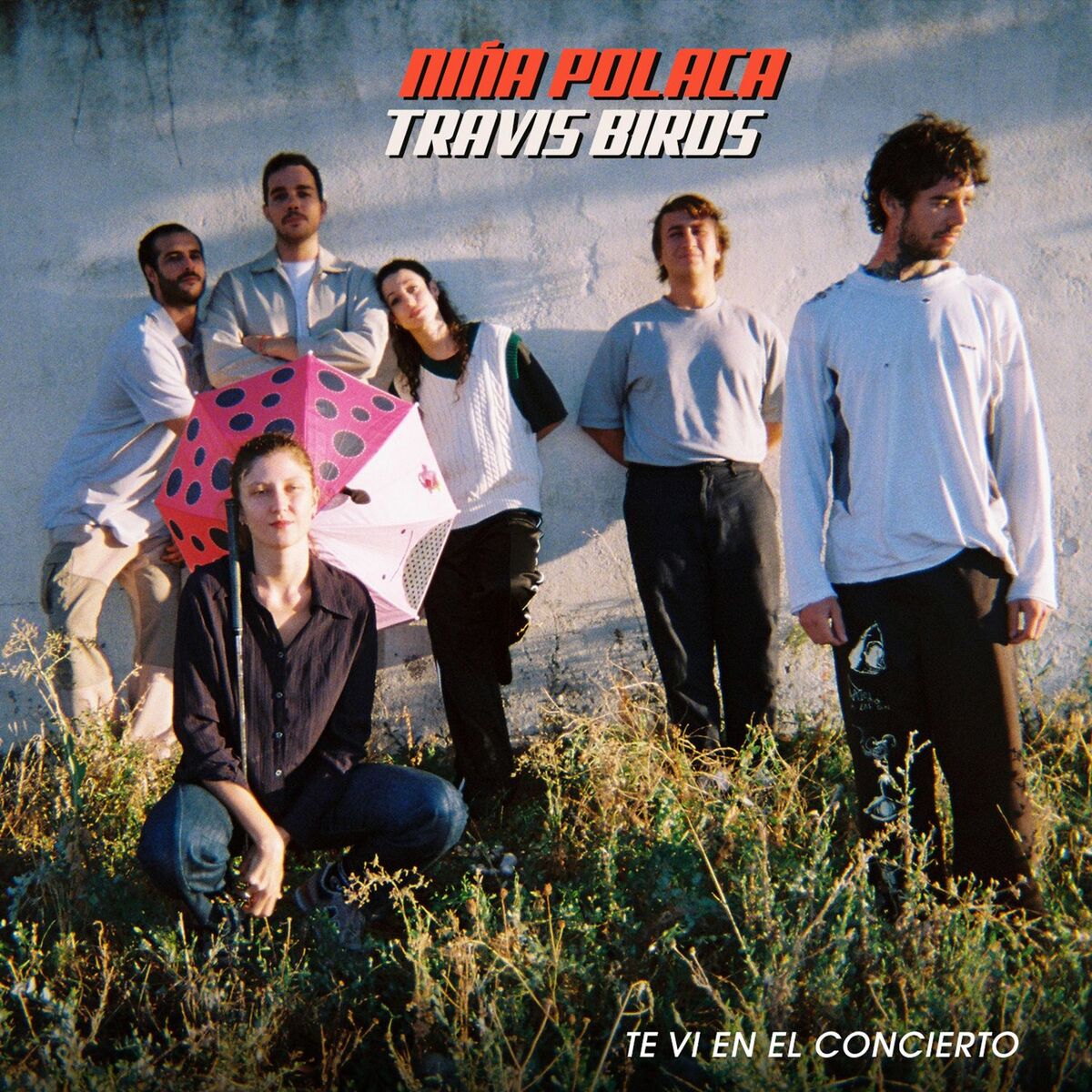 Album cover of Te vi en el concierto