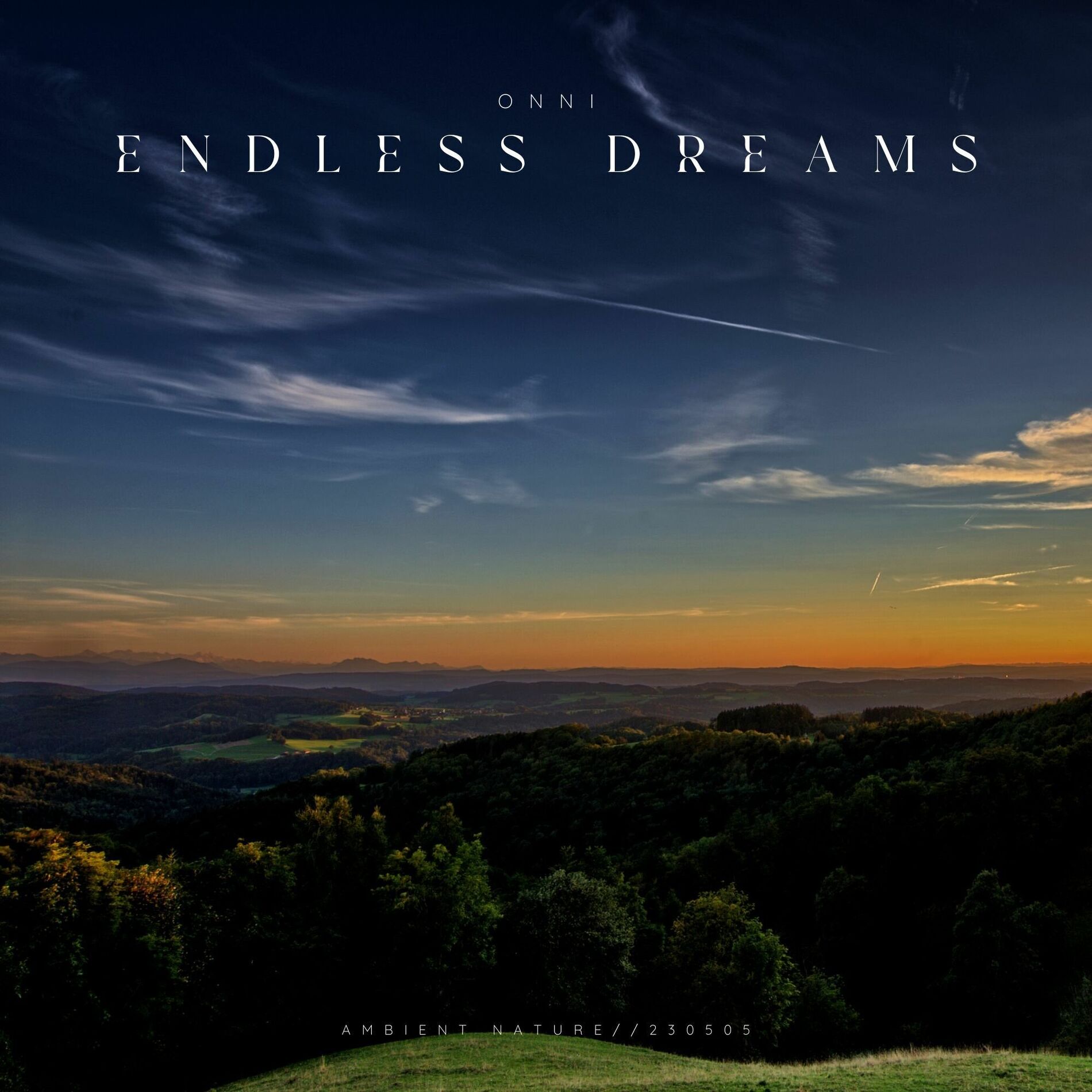 Album cover of Endless Dreams