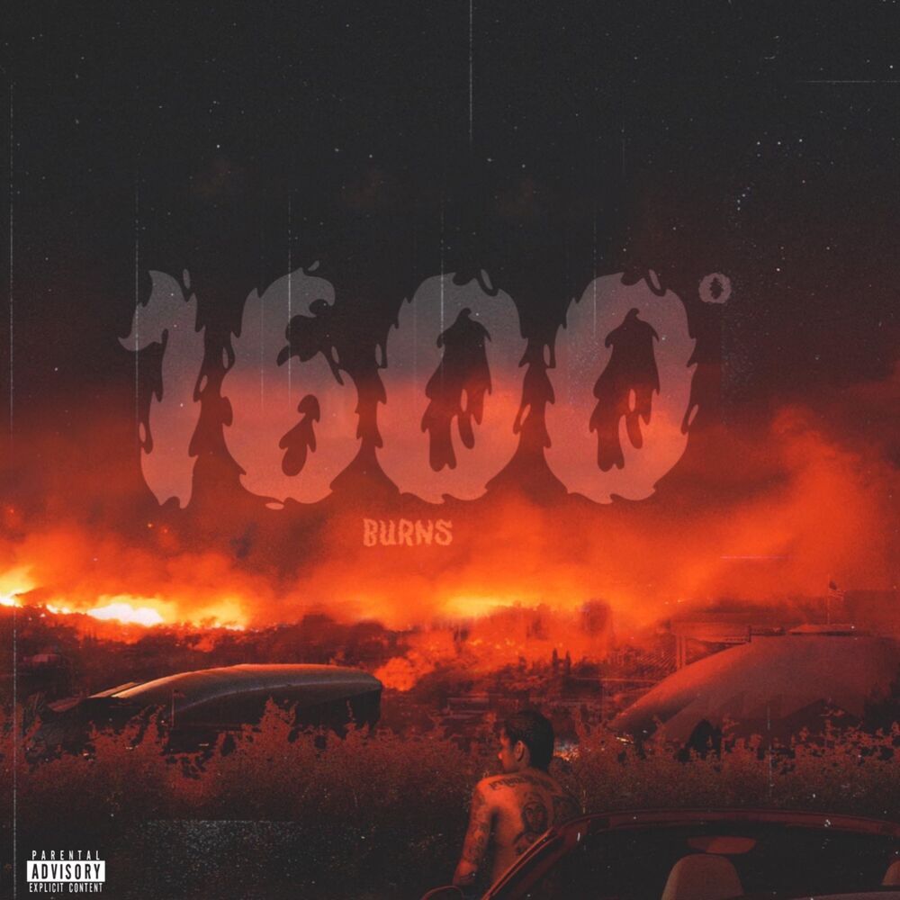 Picture of 1600º Burns