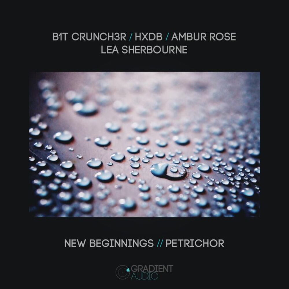 Picture of New Beginnings / Petrichor