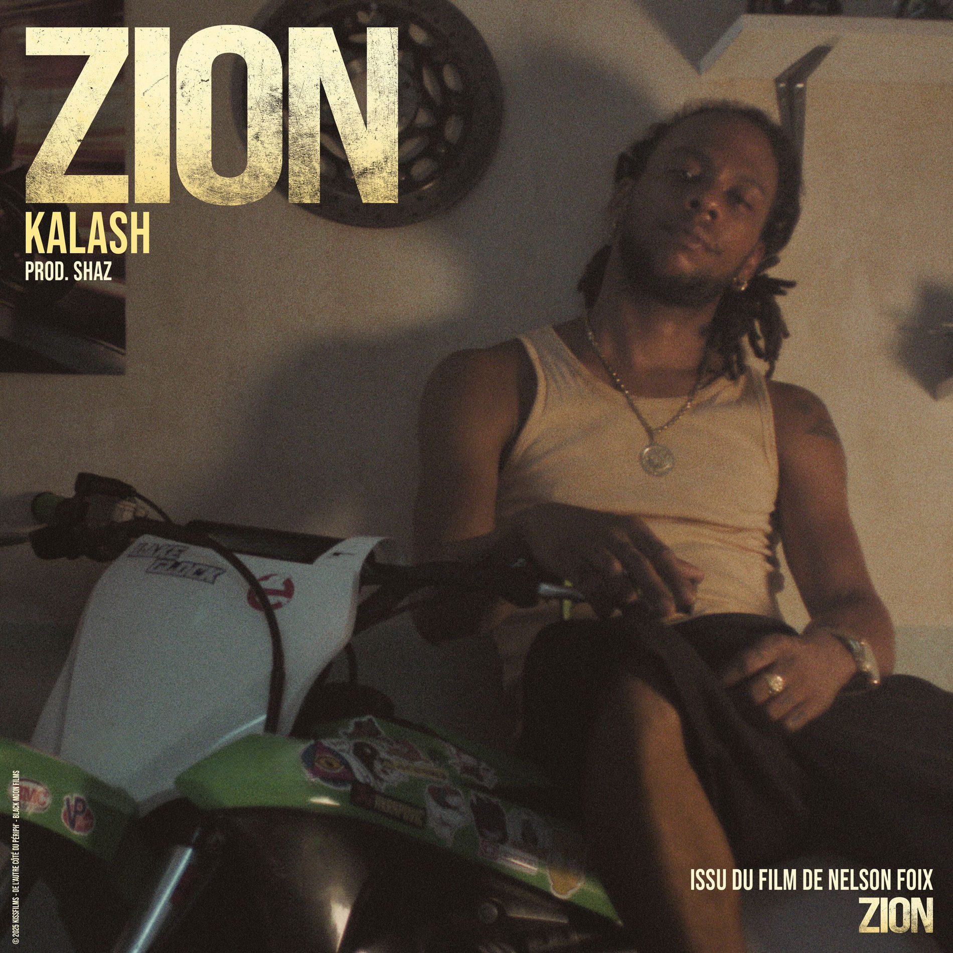 Album cover of Zion (Issu du film 