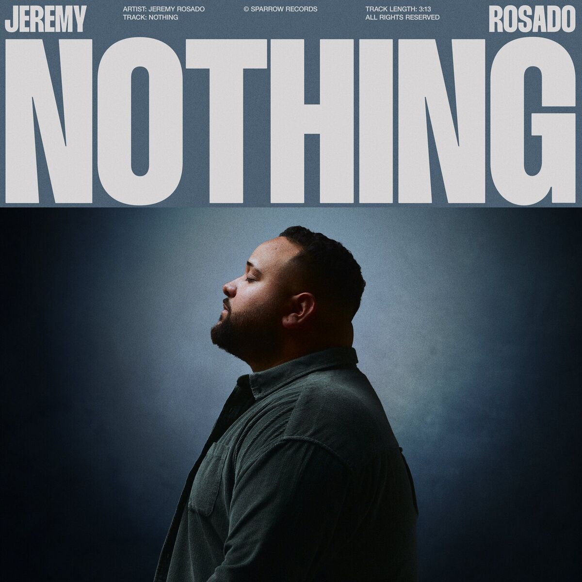 Album cover of Nothing