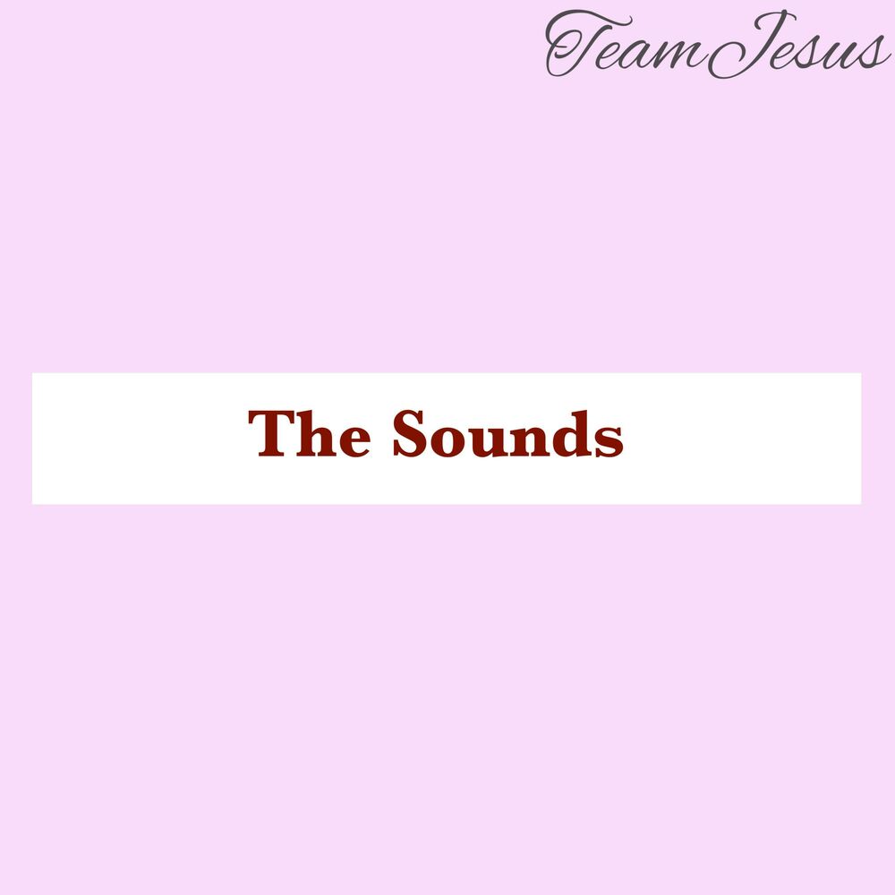 Picture of The Sounds