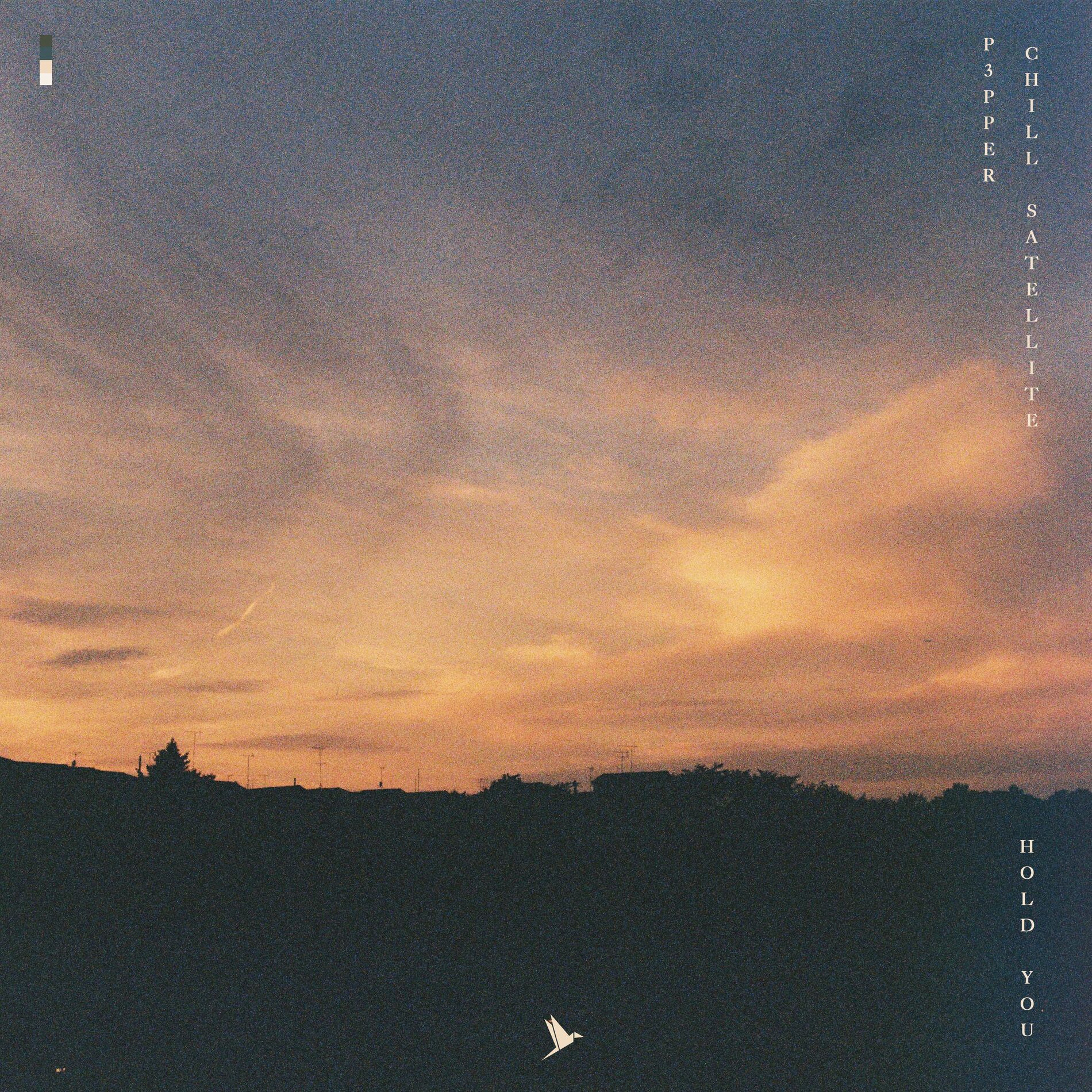 Album cover of Hold You