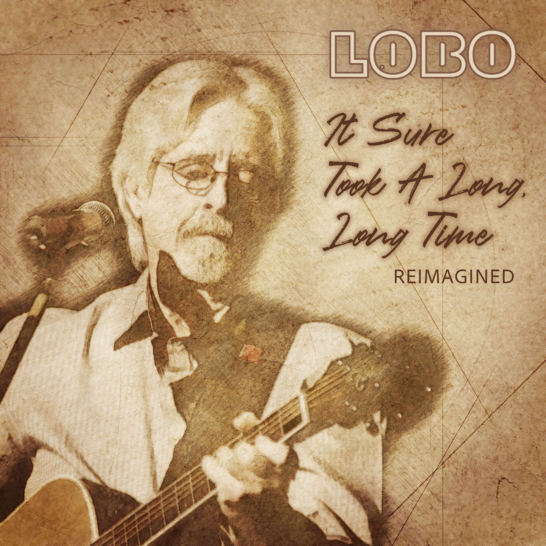 Album cover of It Sure Took A Long, Long Time (Reimagined)