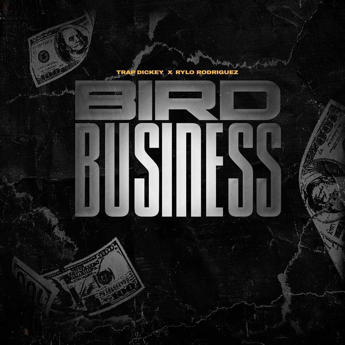 Album cover of Bird Business