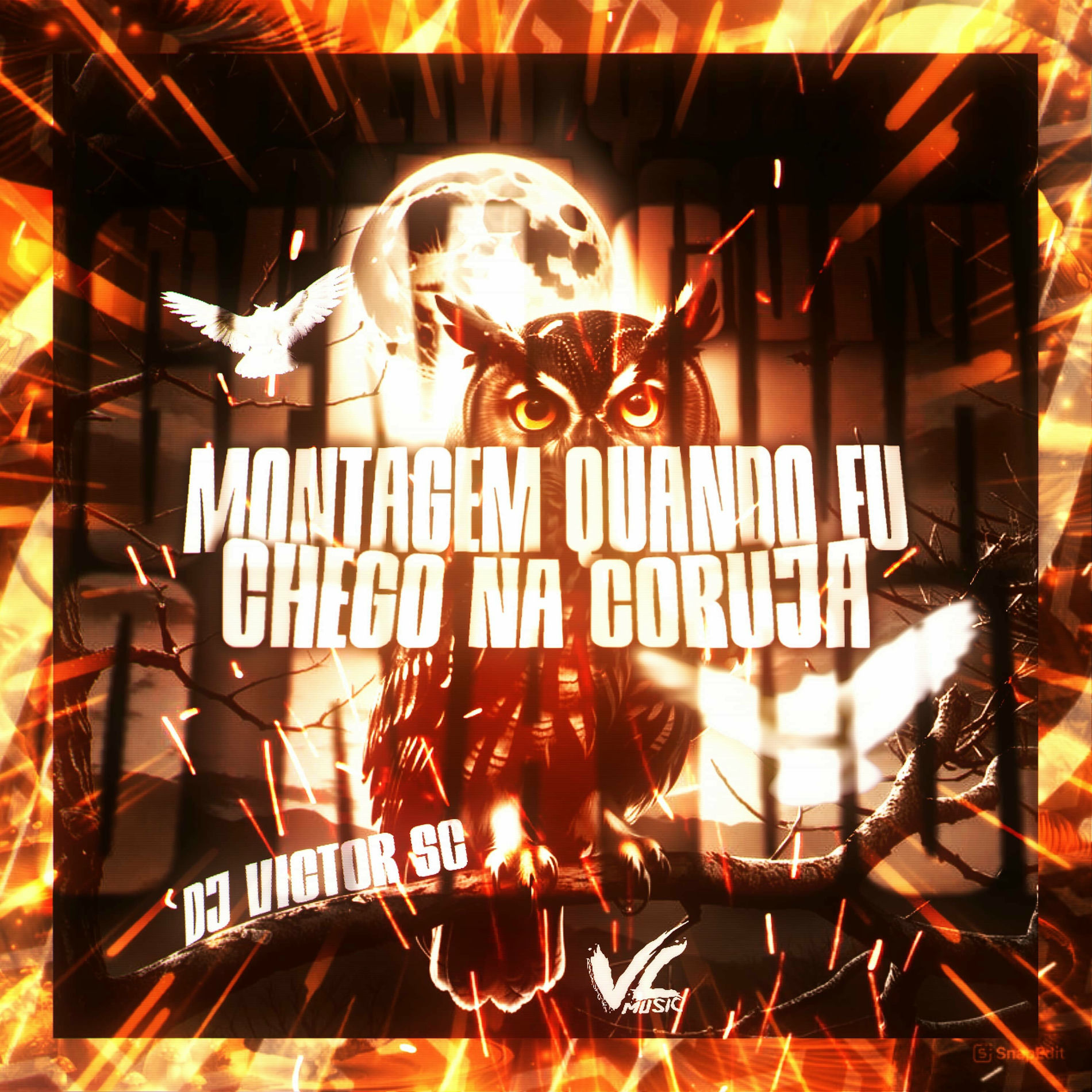 Album cover of Montagem Quando Eu Chego na Coruja