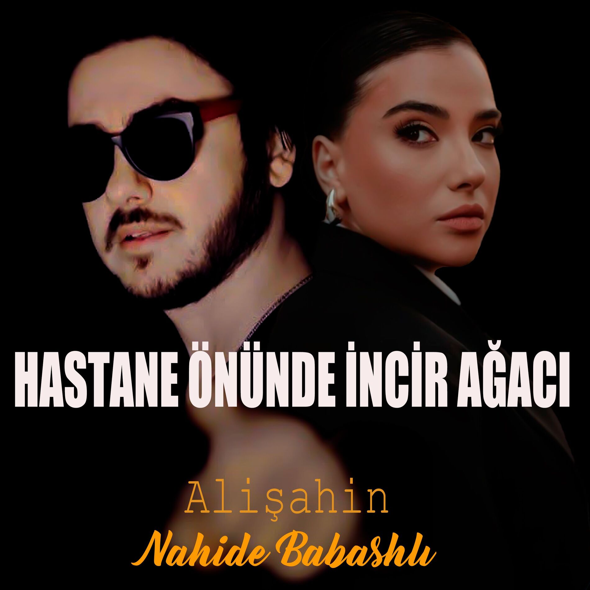 Album cover of Hastane Önünde İncir Ağacı