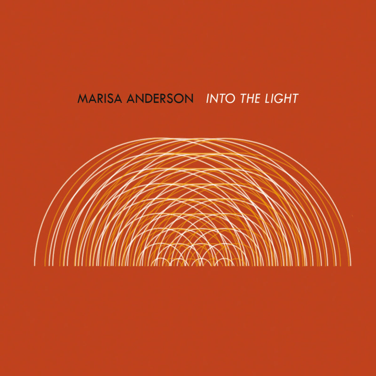 Album cover of Into the Light