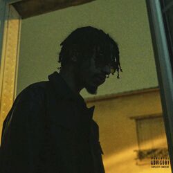 Cover of NON-DITS
