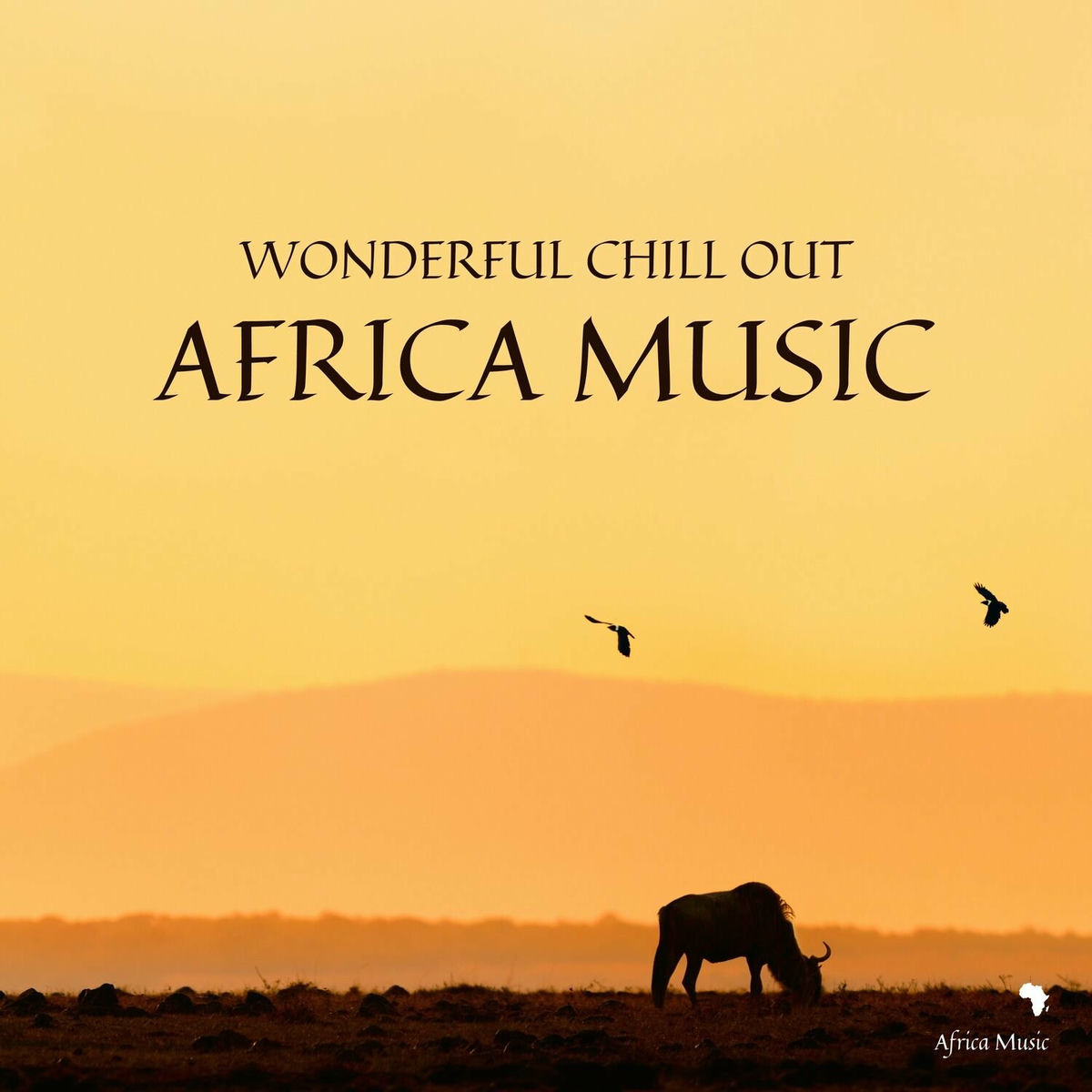 南アフリカ音樂入門　A Guide to South African Music Yahoo!オークション - 南アフリカ音楽入門 A GUIDE TO SOUTH