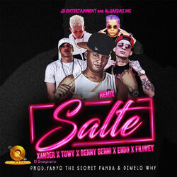 Cover of Salte (Remix)