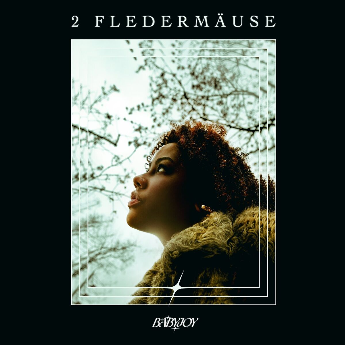 Album cover of 2 Fledermäuse
