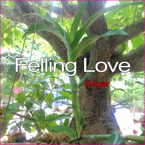 Felling Love
