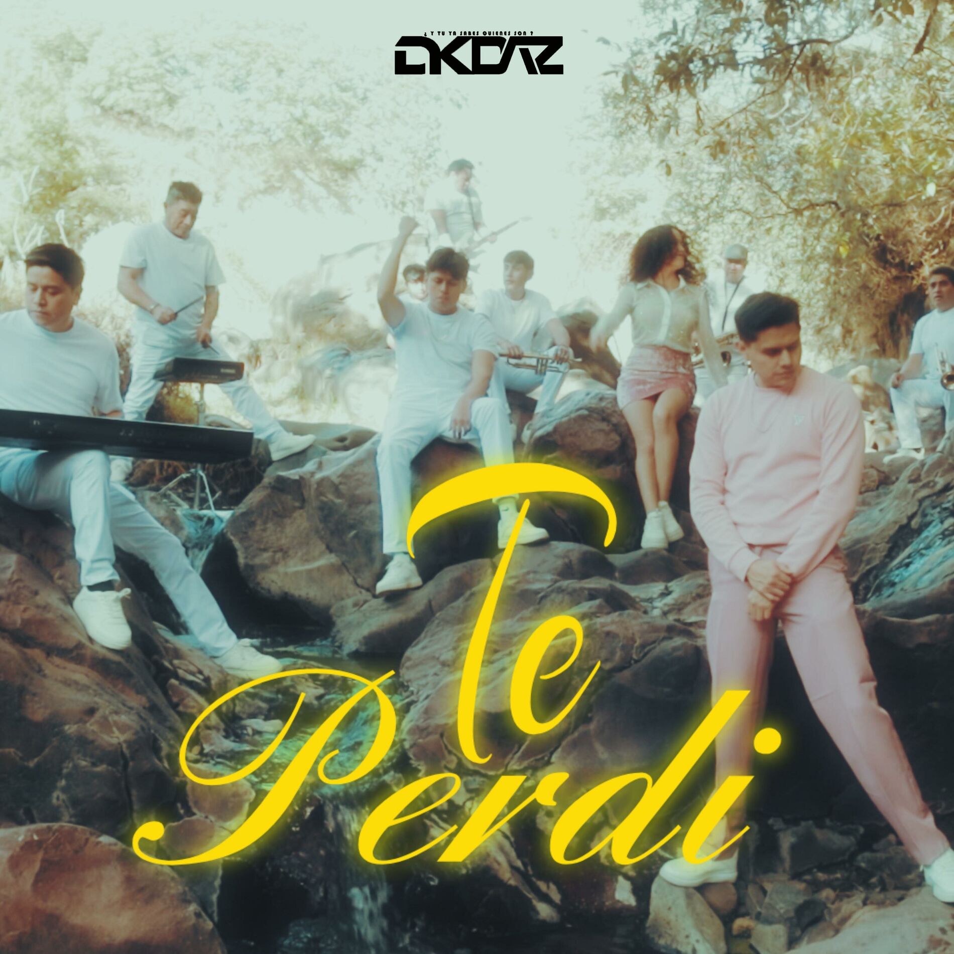 Album cover of Te Perdí