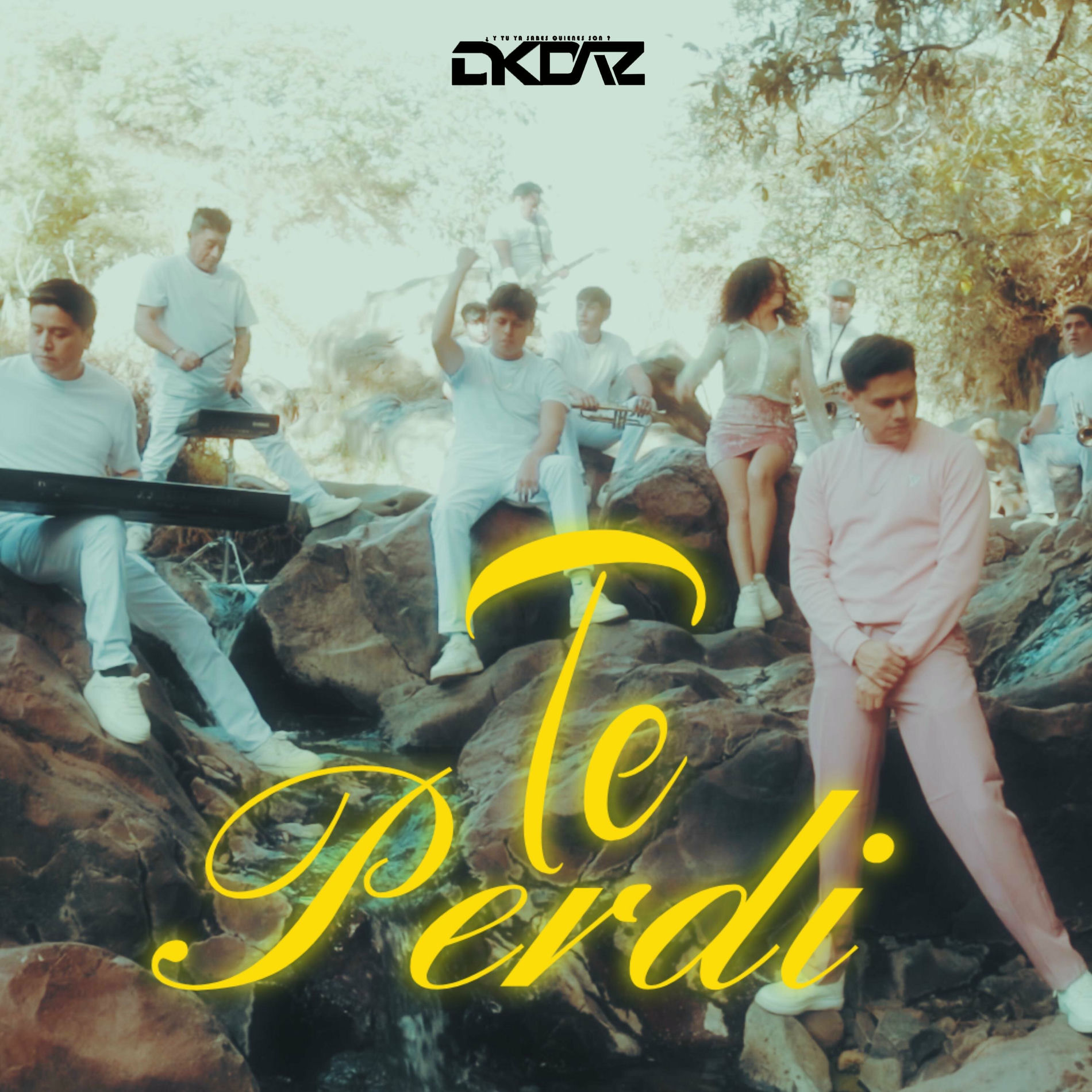Album cover of Te Perdí