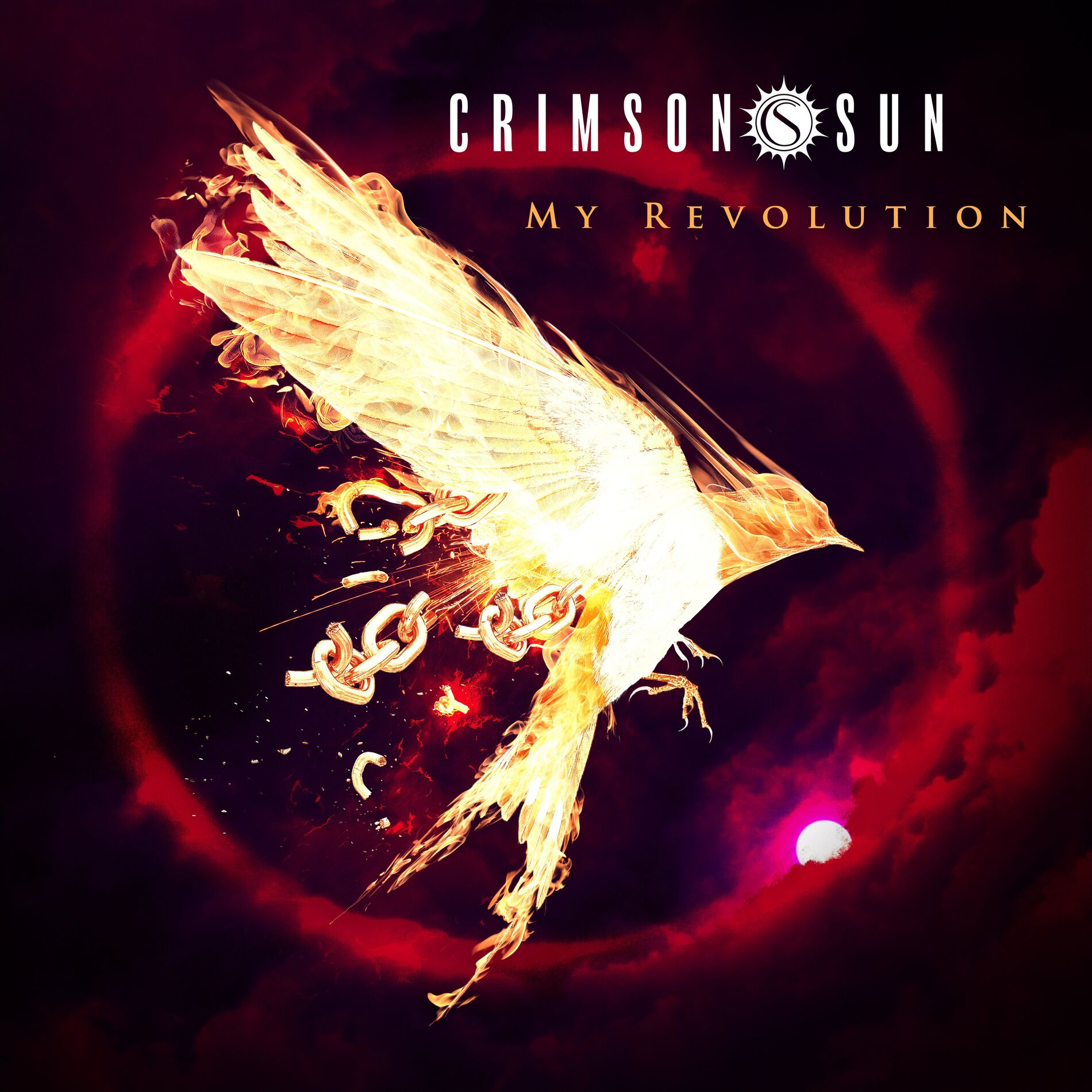 Album cover of My Revolution