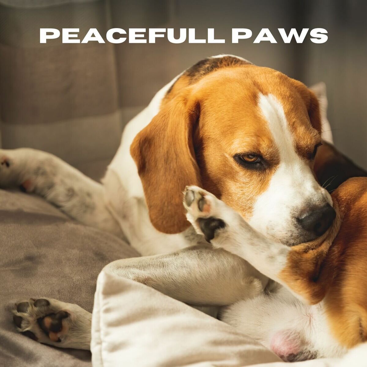 Album cover of Peaceful Paws