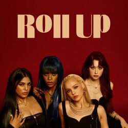 Cover of Roll Up