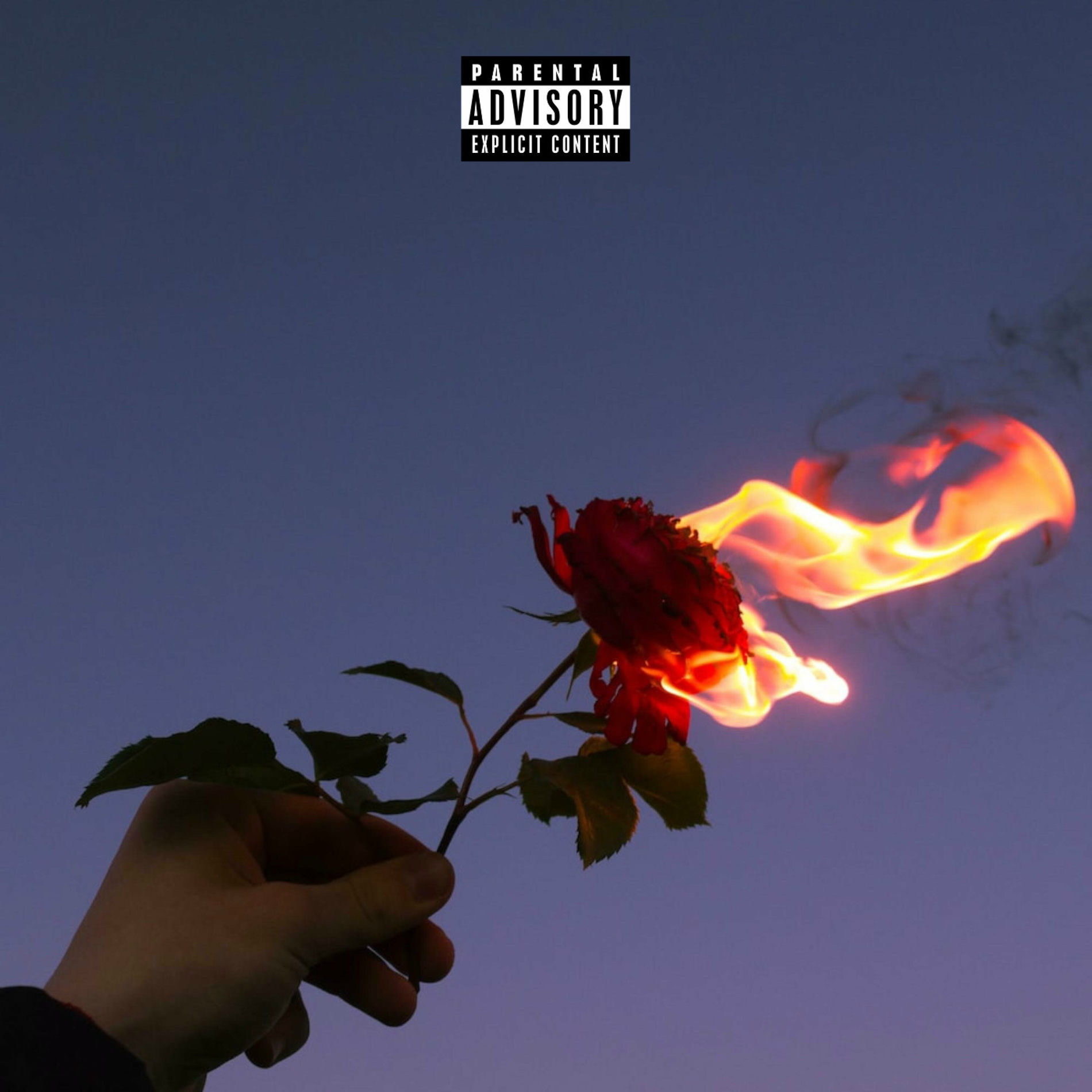 Album cover of Never Loved Us (feat. WSTR)