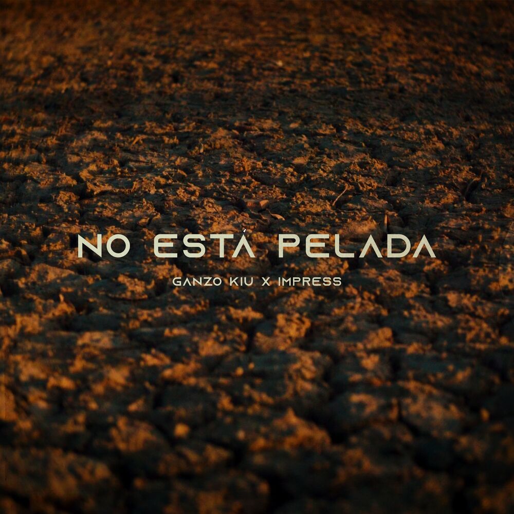 Picture of No Está Pelada