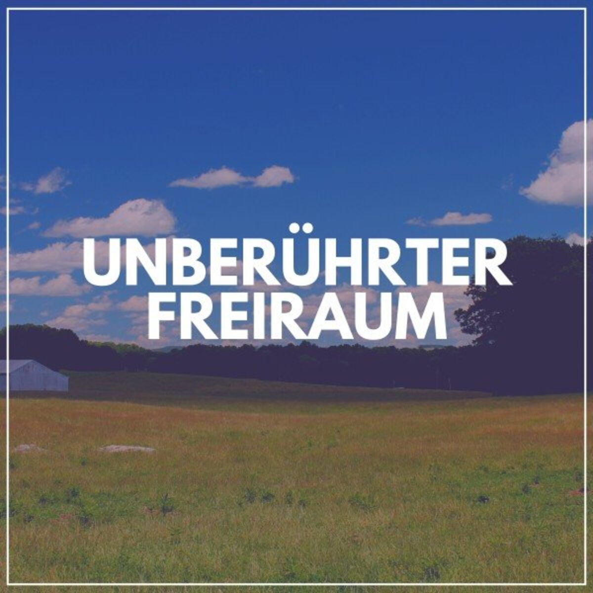 Album cover of Unberührter Freiraum